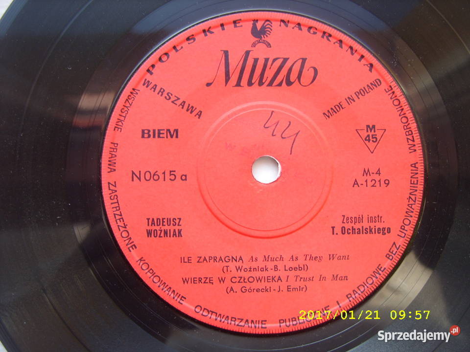 SINGIEL TADEUSZ WOZNIAKILE ZAPRAGNA Wołów