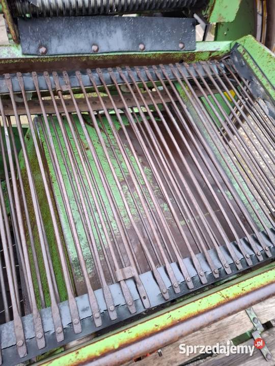 Kombajn ziemniaczany Hassia Kijany