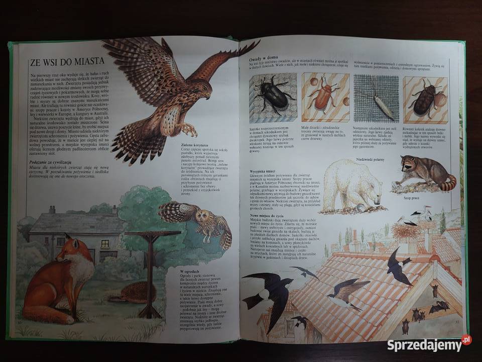 Świat wczoraj i dziś W świecie zwierząt Rok wydania 1991 Tarnowskie Góry