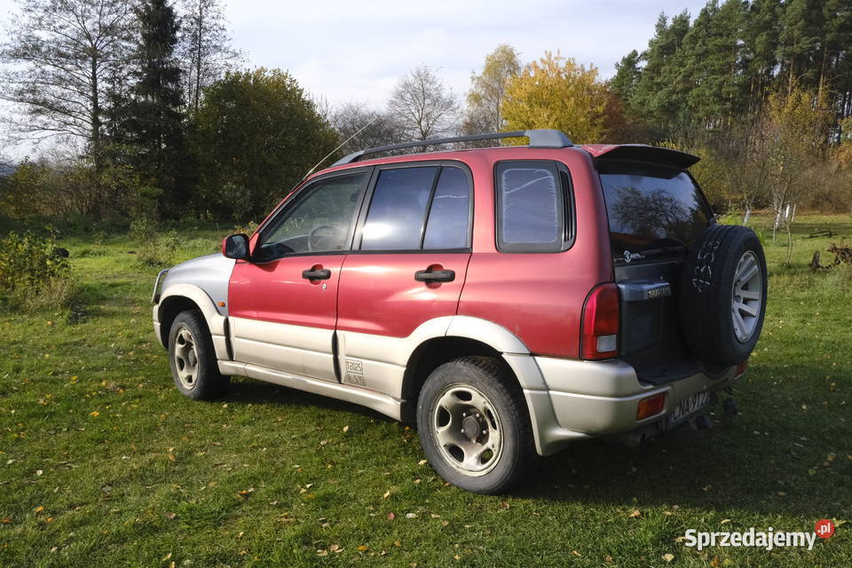 Suzuki Grand Vitara 20 HDI 2001 Grand Vitara kujawsko-pomorskie Brzózki