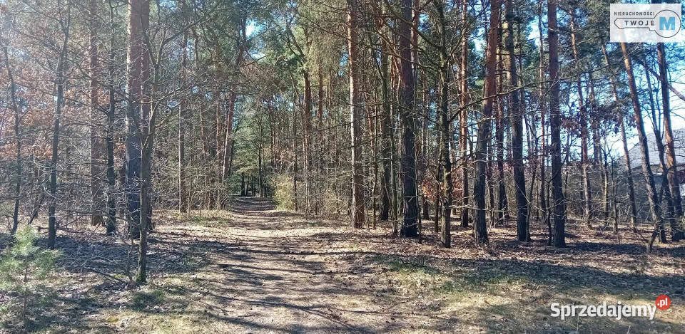 Sprzedam grunt 2481m2 Morawica
