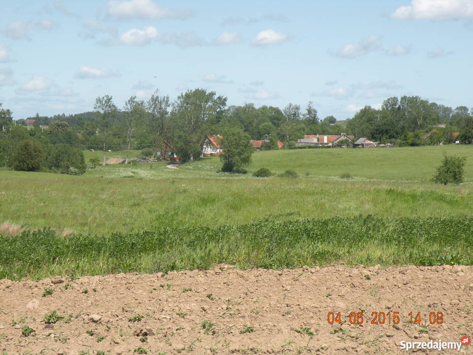 Siedlisko WarmiaMazury warmińsko-mazurskie Górowo Iławeckie sprzedam