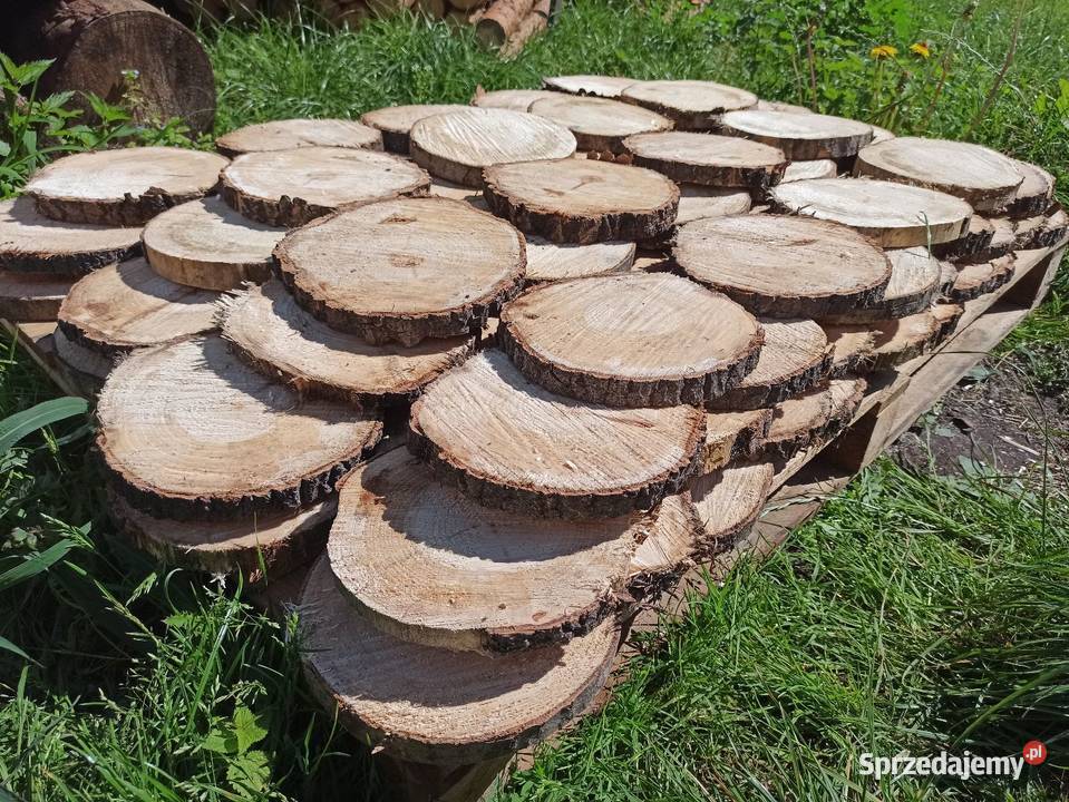 Plastry krążki drewniane Woźniki