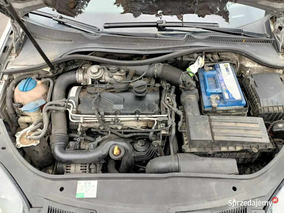 Volkswagen Golf Volkswagen Golf 5 19TDI 90 04r V Tarnów