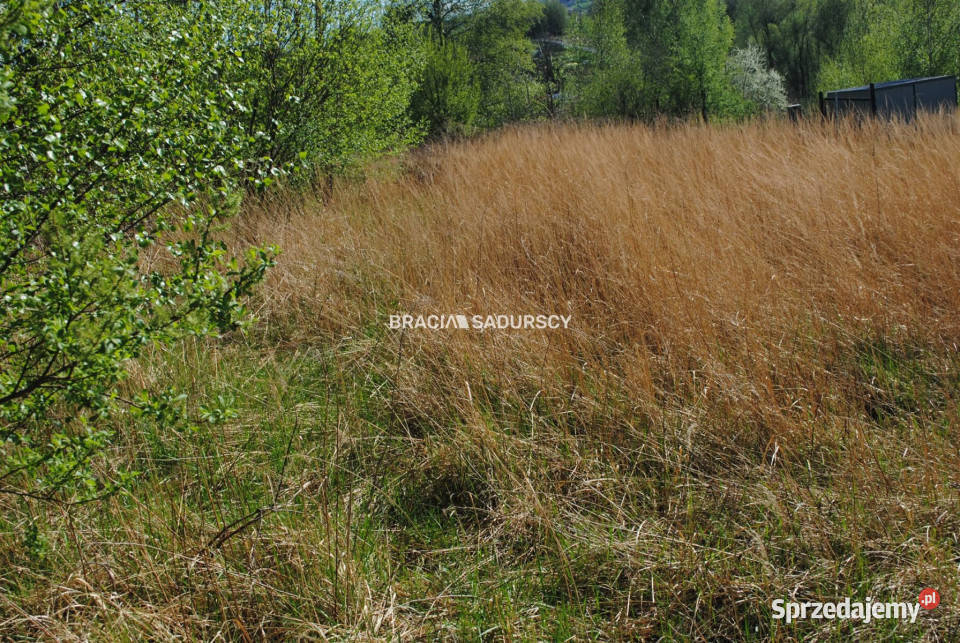 Działka Przebieczany 1000m2 350zł/m2