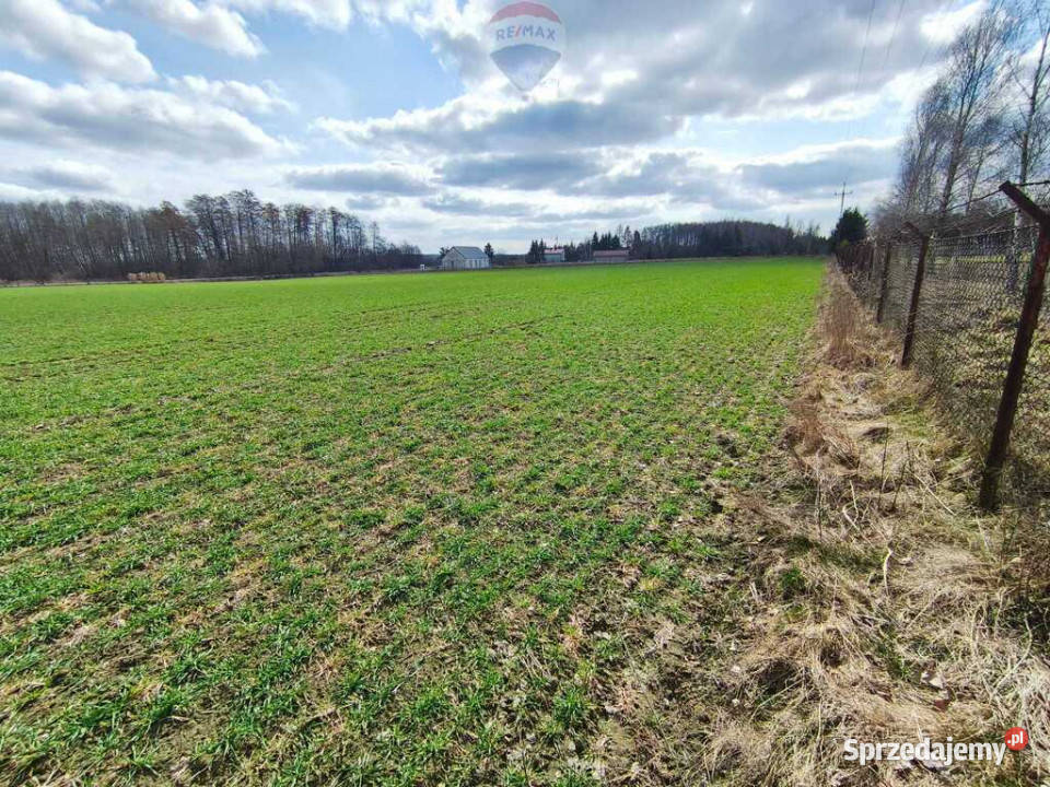 Działka budowlana w pobliżu Płocka Miszewko Strzałkowskie sprzedam