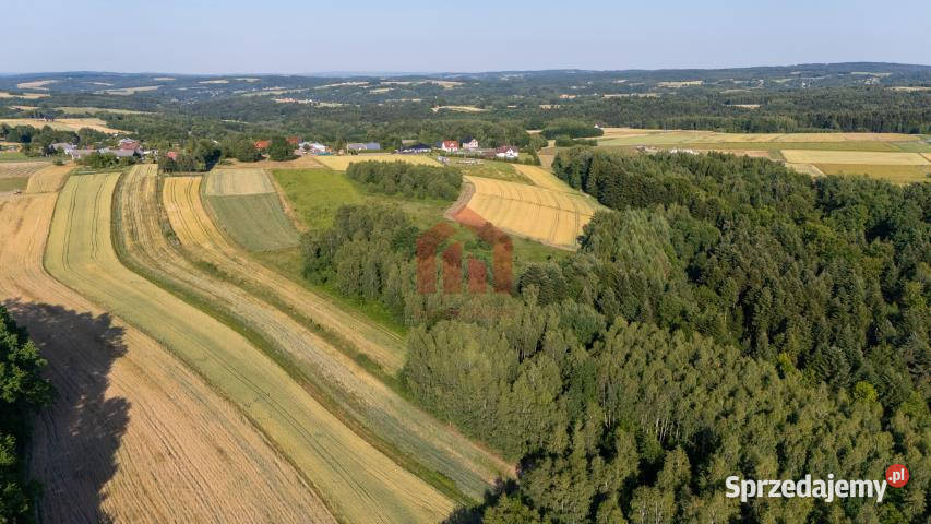 Działka Gnojnica 13000m2 kanalizacja podkarpackie