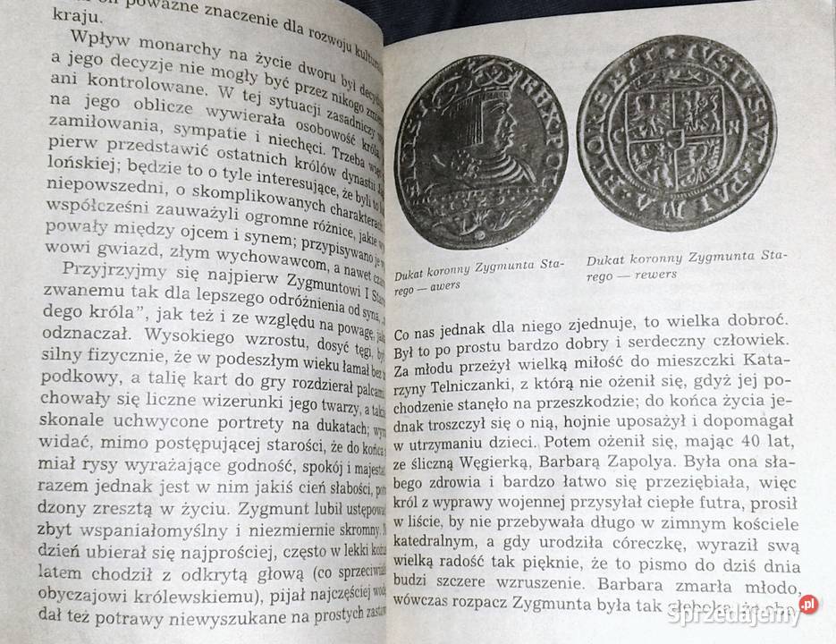 Na zygmuntowskim dworze Marek Hryniewicz miękka lubelskie Chełm