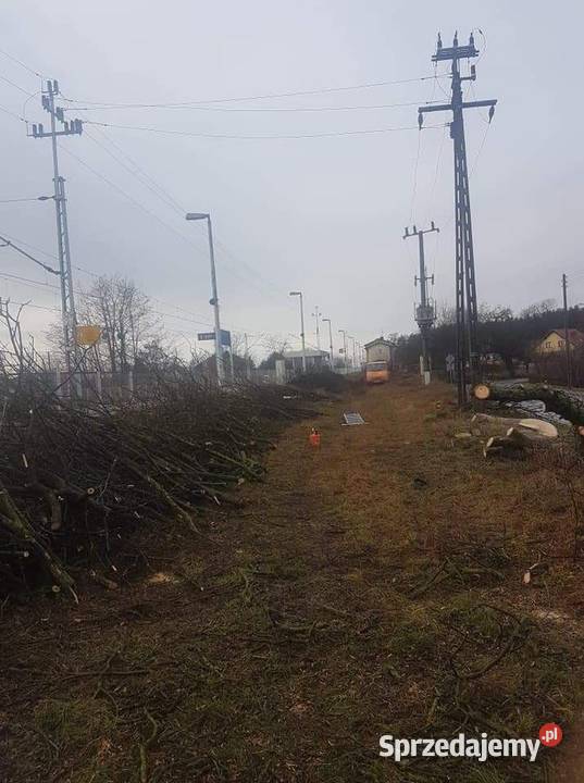 Wycinka drzew i karczowanie terenu Poznań