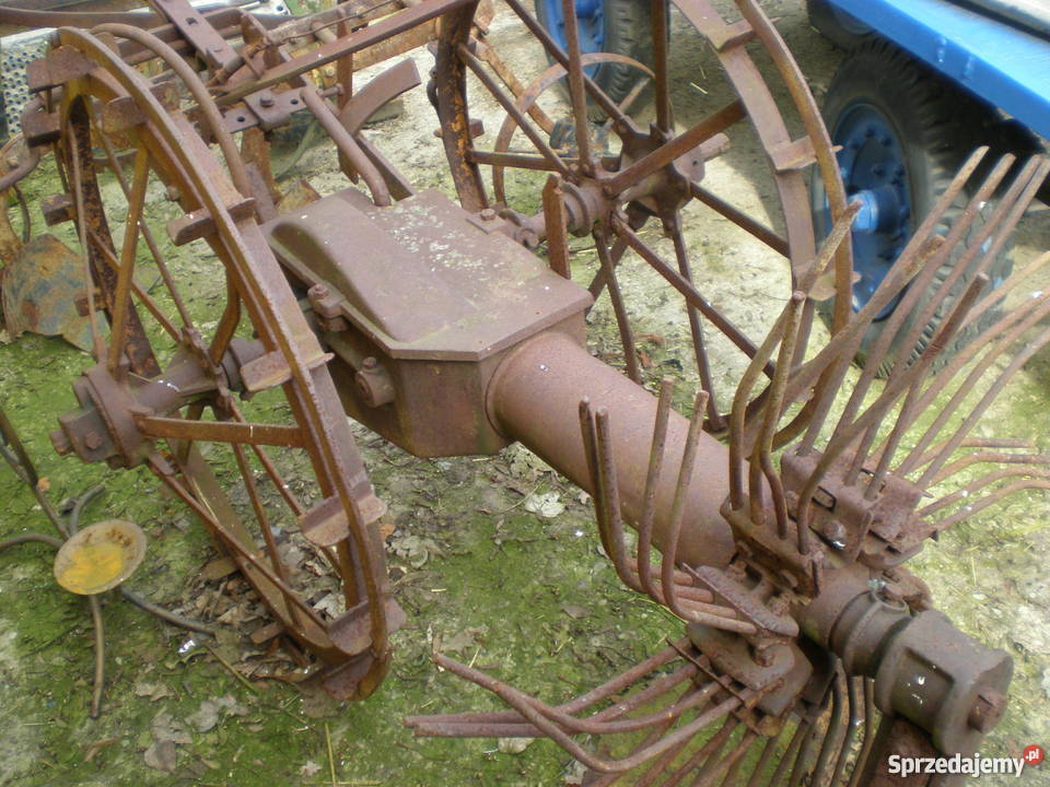 PolskaPowojennado ozdoby działkiogroduKonna Barlinek