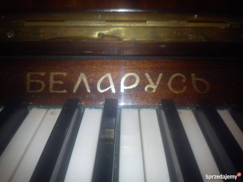 Pianino Białoruś Instrumenty klawiszowe i MIDI Puławy