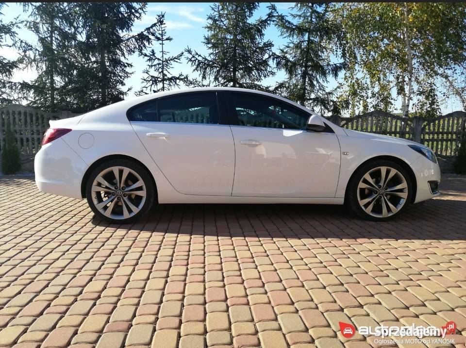 Opel Insignia Tuchów