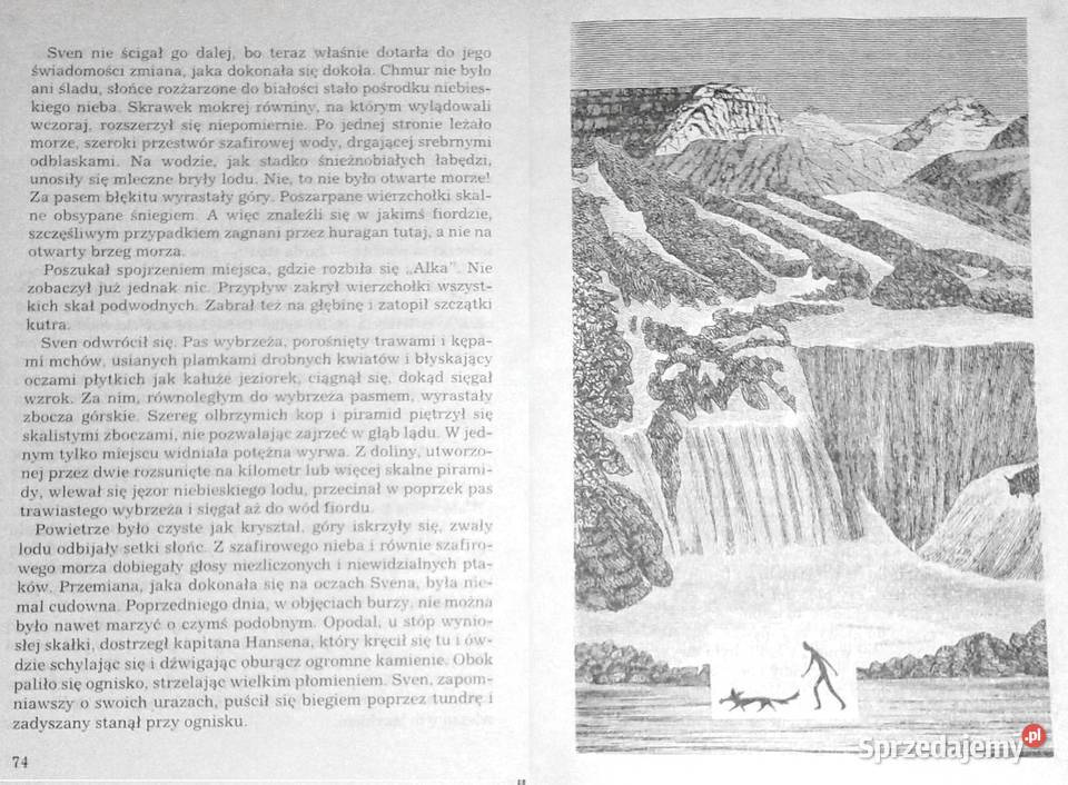 Zimny brzeg Maciej Kuczyński