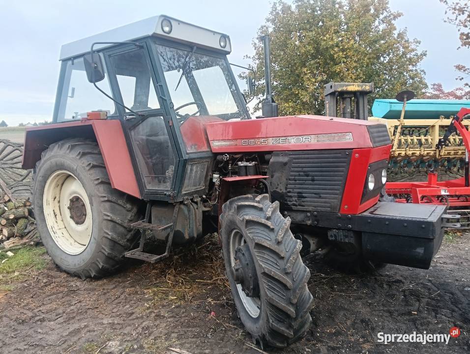 Zetor 8145 Włocławek sprzedam