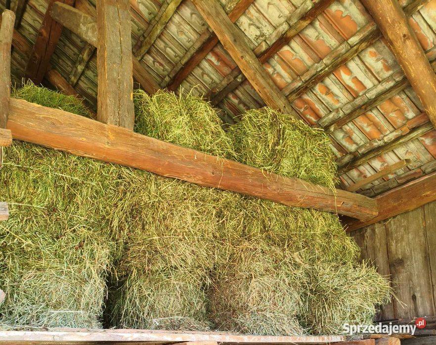 Siano kostka Nowy Sącz sprzedam