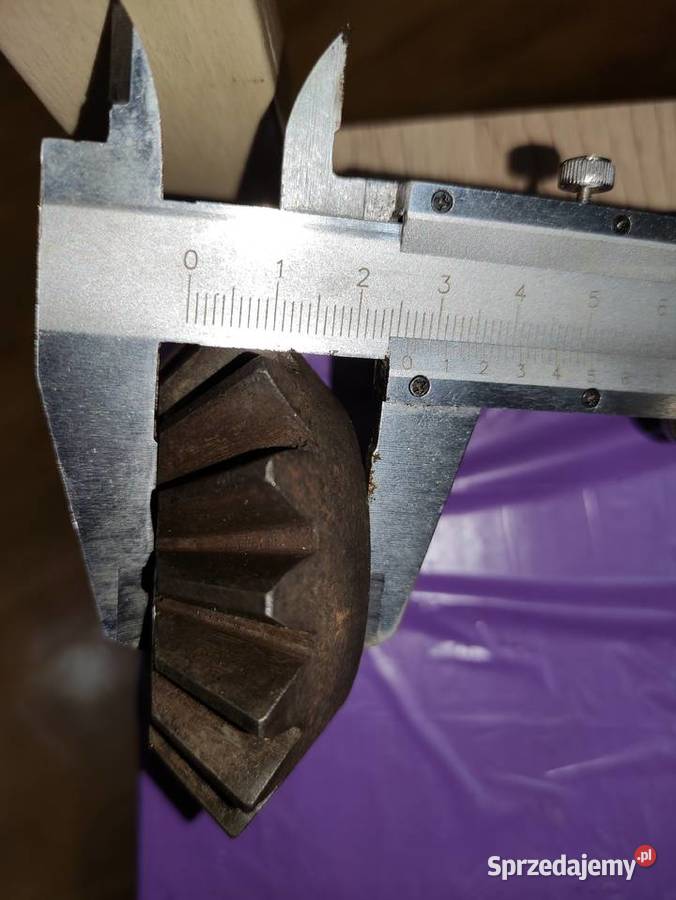 Koło stożkowe i inne Pozostałe dolnośląskie Przeworno