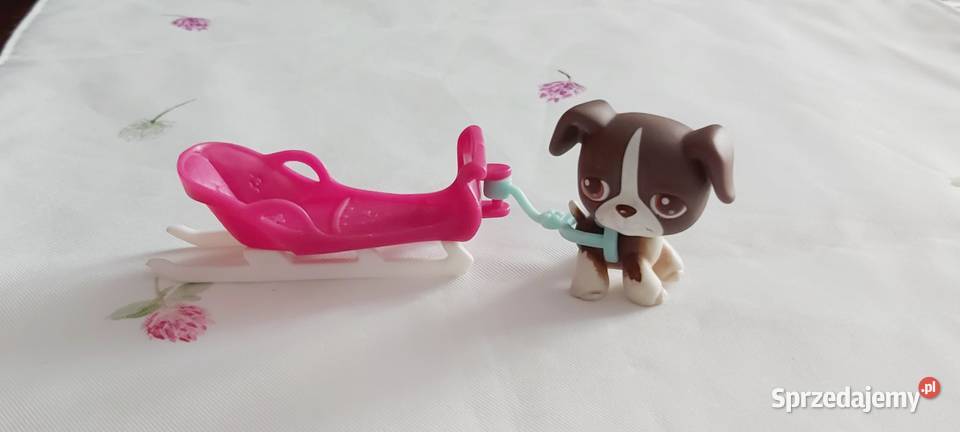 Piesek z sankami Hasbro zestaw warmińsko-mazurskie Braniewo