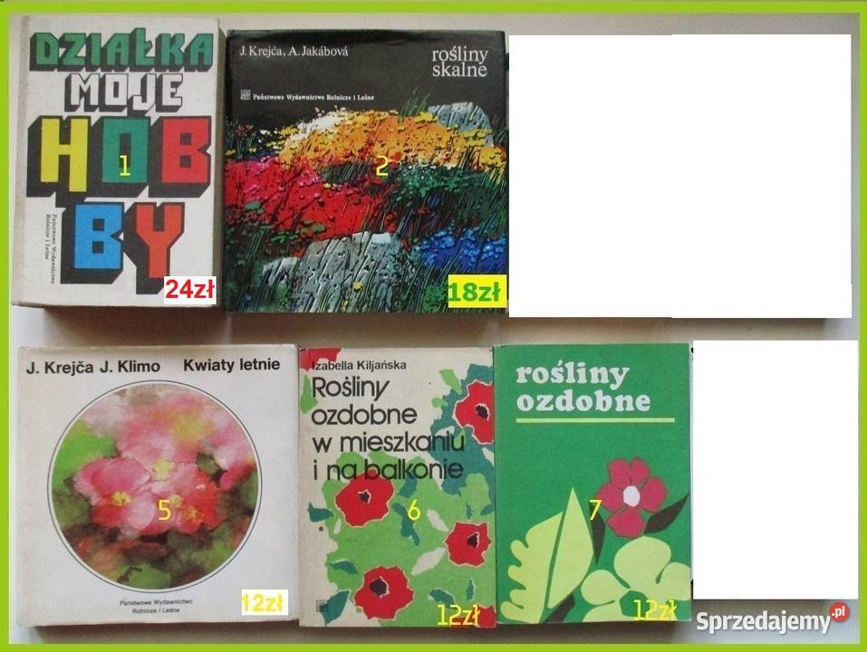 Grzyby leśne grzyby grzybiarstwo runo leśnelas Łódź