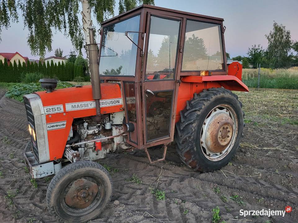 Mf255 1987 Massey Ferguson mazowieckie Miedniewice