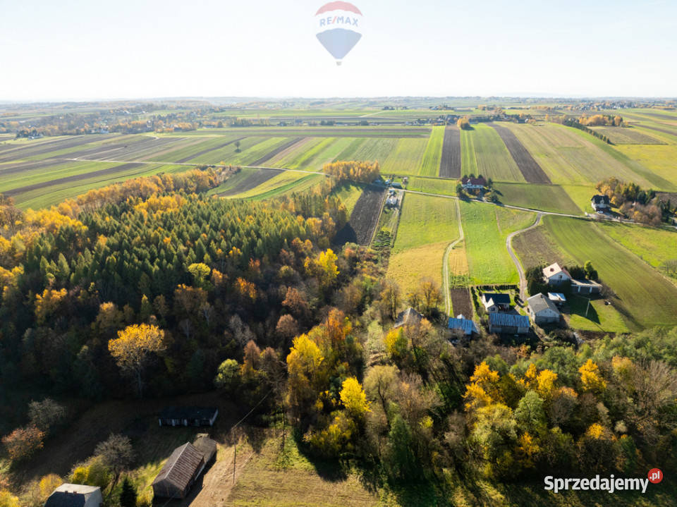 Działka z bijącym źródłem i kawałkiem lasu 30m małopolskie Stoki sprzedam