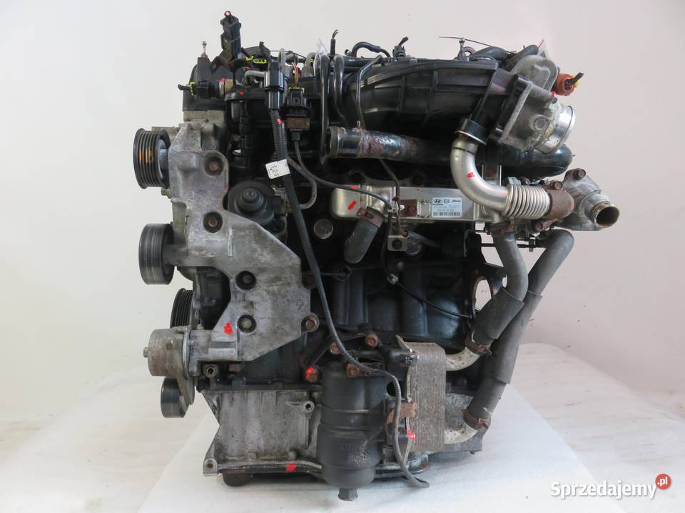SILNIK KIA HYUNDAI 20 CRDi 136 D4HA KOMPLETNY sprzedam