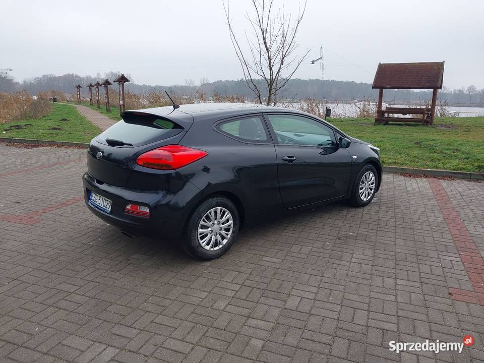 Kia ceed proceed 14 benz oryg przebieg 64 aluminiowe felgi Głowno
