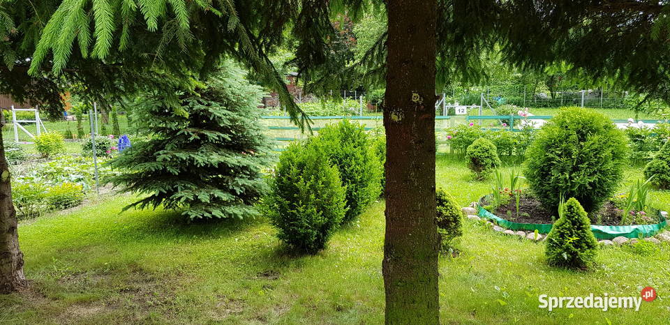 Działka ROD Kalina Zawilcowa Lublin