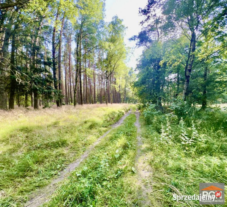 sprzedaży działki Pobierowo 11000m2 95zł/m2 zachodniopomorskie