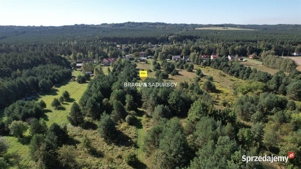 sprzedaży gruntu Rokitno Szlacheckie 6008m2 32m sprzedam