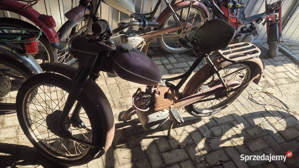 Komar sztywniak Motoryzacja Hryniewicze