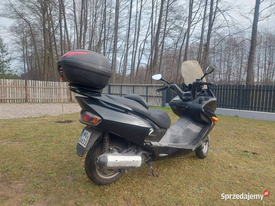 Skuter HONDA NSS JAZZ Rok produkcji 2002 mazowieckie Ostrołęka