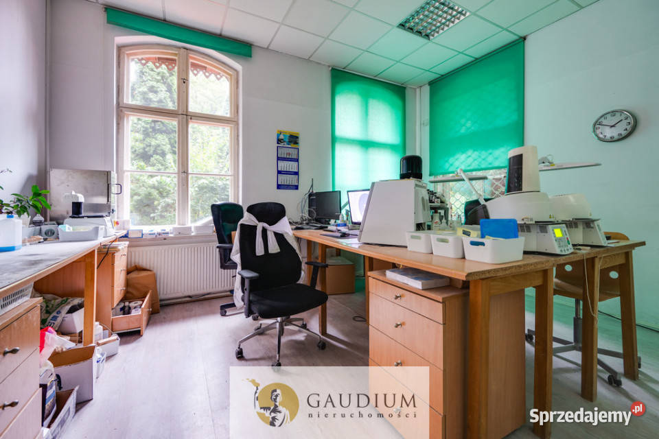 Kameralny lokal do wynajęcia Lokale użytkowe Gdańsk