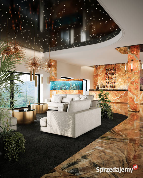 USTROŃ obok wyciągu na Czantorię Pokoje i śląskie