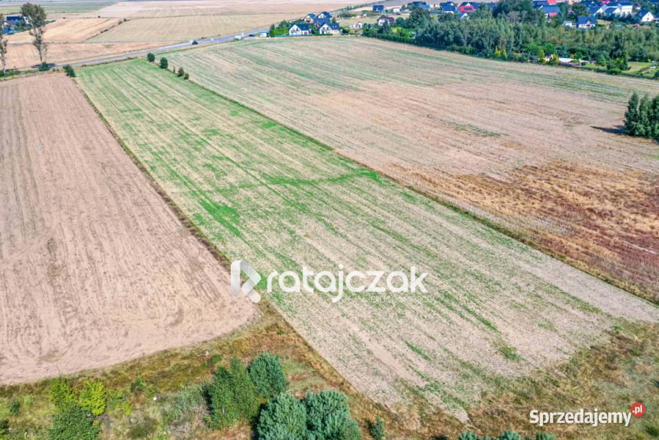 sprzedaży gruntu 9632m2 Łebcz Dr Augusta 275m