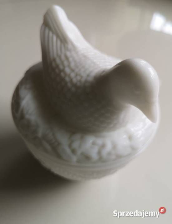 Bombonierka Gołąb kujawsko-pomorskie Toruń