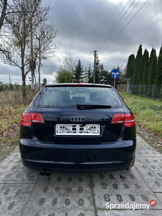 Audi A3 8P 18 TFSI 160 DRL PDC światła przeciwmgielne Starogard Gdański