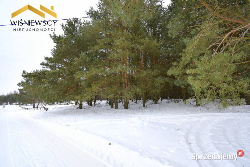 Działka budowlana 3002m2 uzbrojona z lasem Kiersztanowo