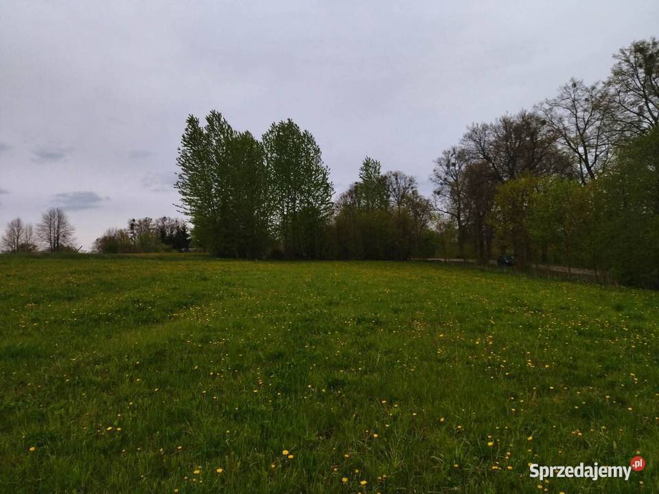 Działka budowlana drodze asfaltowej 41zł/m2 warmińsko-mazurskie Rumy
