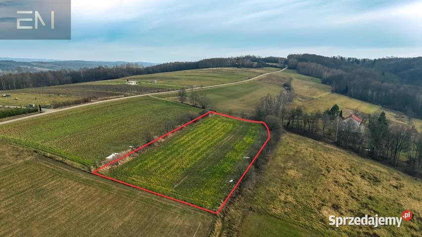 Działka 4300m Gogołów 4300m2