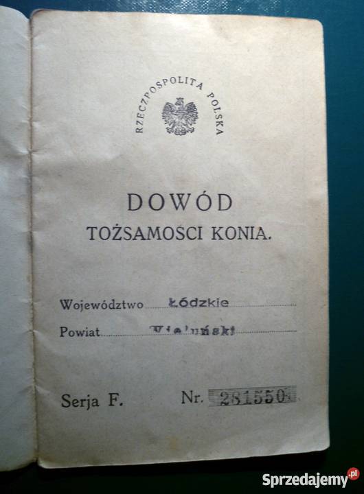ANTYK 1934 Dowód tożsamości KONIA Antykwariat Kraków