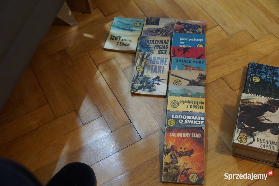 Seria Żółty Tygrays Bielsko-Biała