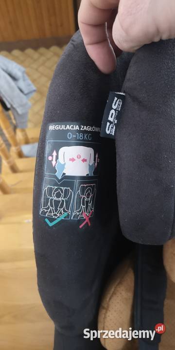 Babysafe Westie ISOFIX Dla Dziecka Babin