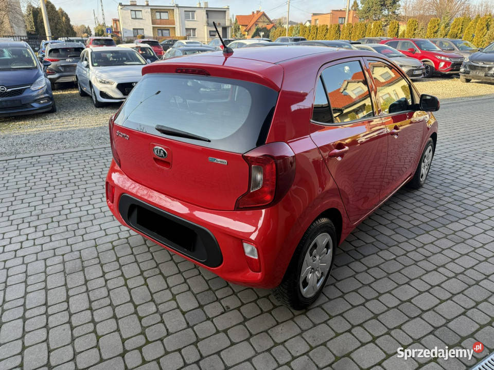 Kia Picanto 10 67 klimatyzacja 1Właściciel Koła nieuszkodzony śląskie Orzech
