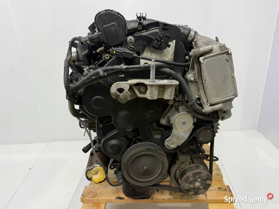 SILNIK NGDA NGDB Ford Focus III MK3 16 TDCI 105 Chełm