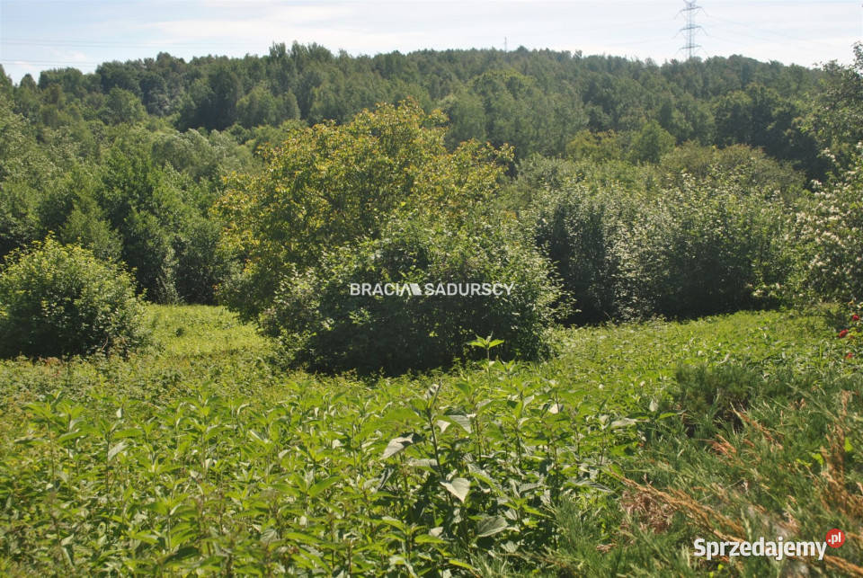 Działkę sprzedam Lusina 3800 metrów