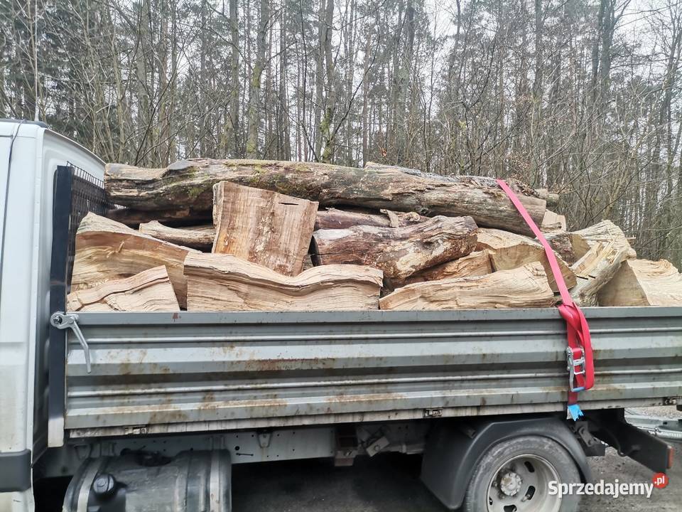Dab buk suchy sezonowany Słupsk