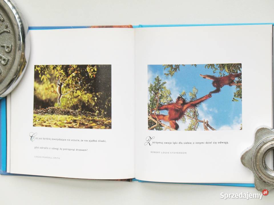 Inspiracje odwaga Praca zbiorowa Kraków