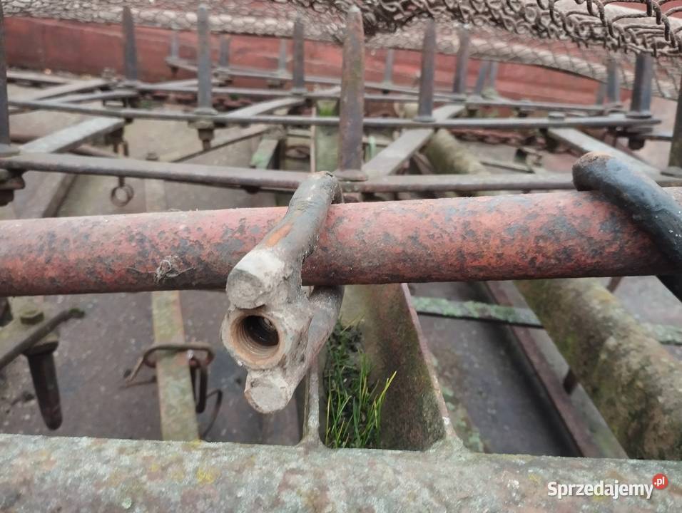 Brony 5 połowę gwiazda 4 nieuszkodzony Rzgów sprzedam