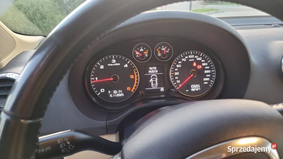 Audi A3 8P 16 TDI Izdebnik