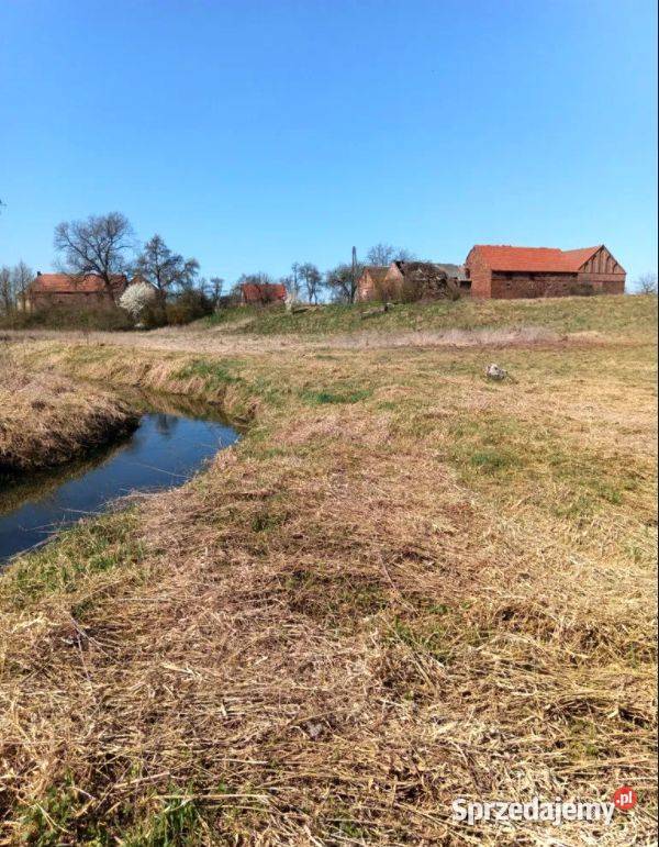 Działka z linią brzegową 130 m Brzeźnica